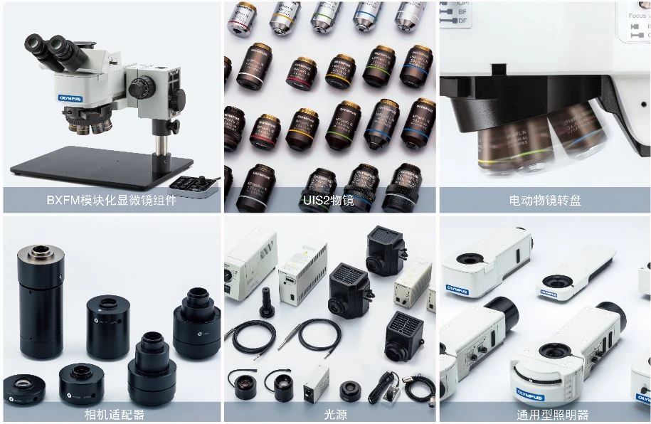 1596508556932437.jpg 微信圖片_20200804100746.jpg